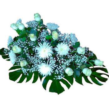 Floristería Bajo Aragón