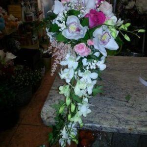 Flores_jos_Maria