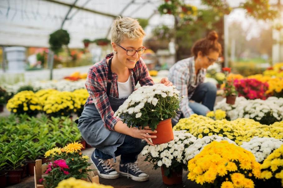 Arreglos florales en Teruel